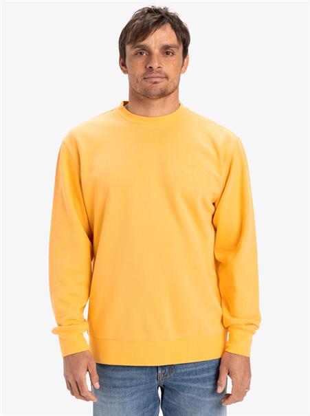 Quiksilver Salt Water - Sweatshirt met ronde hals voor heren