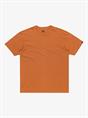 Quiksilver Salt Water - T-shirt met korte mouwen voor heren
