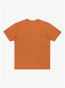 Quiksilver Salt Water - T-shirt met korte mouwen voor heren