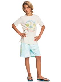 Quiksilver Slow Dive Tie Dye - Tracksuit Shorts for Boys 8-16