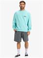 Quiksilver Spin Cycle - Sweatshirt met ronde hals voor heren