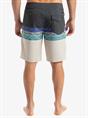 Quiksilver Surfsilk - Board Shorts for Men