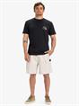 Quiksilver Taxer 19" - Cargo Walkshorts for Men