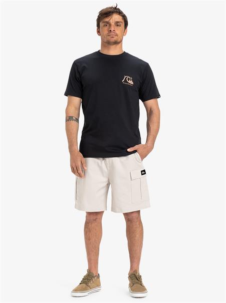 Quiksilver Taxer 19" - Cargo Walkshorts for Men