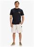 Quiksilver Taxer 19