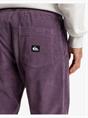 Quiksilver Taxer - Corduroy Pants for Men