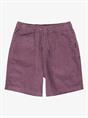 Quiksilver Taxer - Walkshort met elastische taille voor jongens van 8 - 16 jaar
