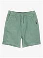 Quiksilver Taxer - Walkshort met elastische taille voor jongens van 8 - 16 jaar