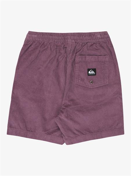 Quiksilver Taxer - Walkshort met elastische taille voor jongens van 8 - 16 jaar