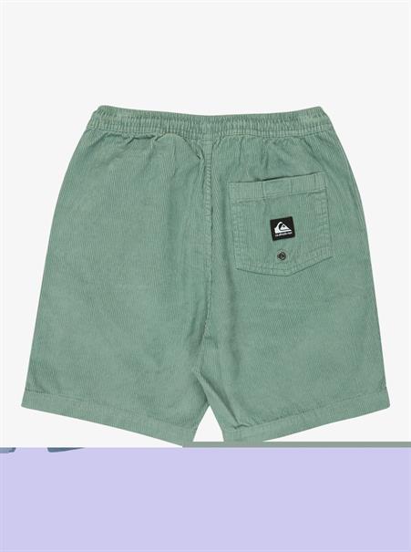 Quiksilver Taxer - Walkshort met elastische taille voor jongens van 8 - 16 jaar