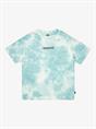 Quiksilver Td Frog Ritual - T-shirt met korte mouwen voor heren