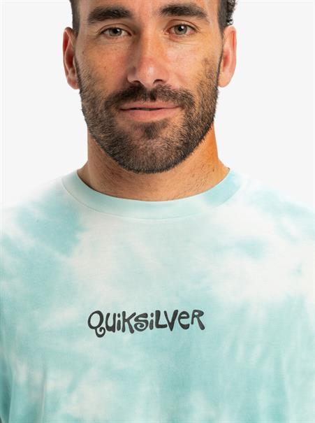 Quiksilver Td Frog Ritual - T-shirt met korte mouwen voor heren