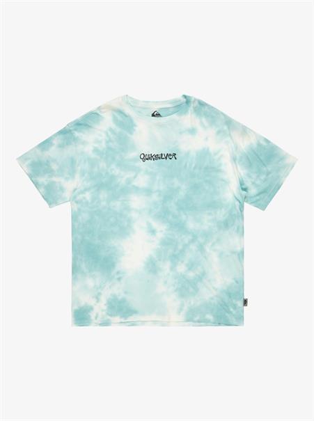 Quiksilver Td Frog Ritual - T-shirt met korte mouwen voor heren