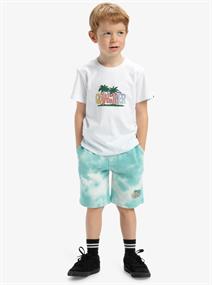 Quiksilver Tie Dye - Shorts met elastische taille voor jongens 2 - 7