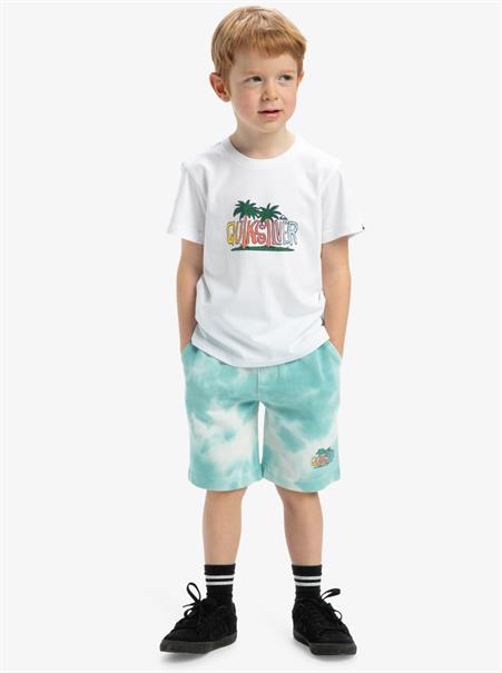 Quiksilver Tie Dye - Shorts met elastische taille voor jongens 2 - 7