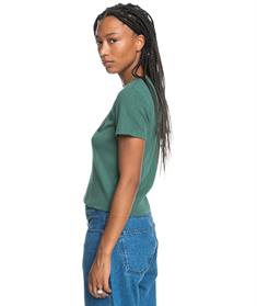 Quiksilver Uni Fabric Interest - Womens Surf Lifestyle Short