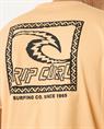 Rip Curl Raw Energy Trad Tee