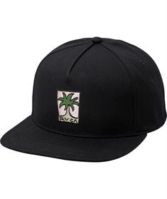 RVCA SMALL PALM SNAPBACK-Men Outdoor Lifestyle Fitted H