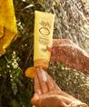 Sun Bum Revitalizing Hair Mask Tube 177ml - Surf Hair Care