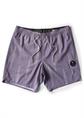 Vissla Seaside 16.5" Ecolastic - Heren Boarshort
